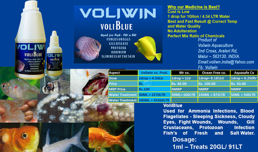 Voliblue