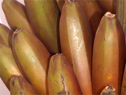 Red Banana