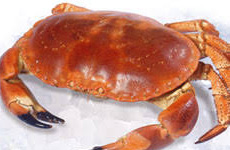 Crabs