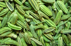 Fennel Seeds Green