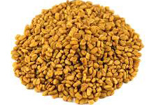 Fenugreek Seeds