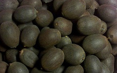 PuffedLotusSeeds