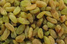 RasiniYG