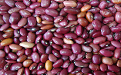 RedCowPea