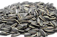 Sunflower Seeds