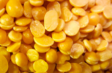 Yellow Lentils