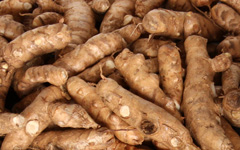 arrowroot