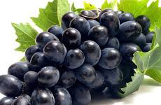 Black Seedless Grapes