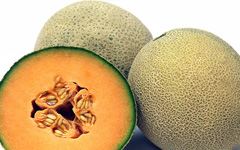 CantaloueMelon