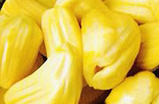 ChandraJackfruit