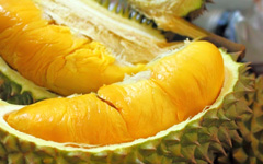 Durian