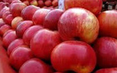 HimachalApple