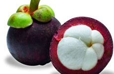 Mangosteen