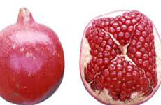 Mrudhala Pomegranate