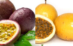 Passion Fruit