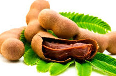 Tamarind Fruit