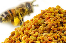 Bee Pollen