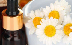 Chamomile Essential Oils