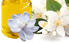 Jasmine Essential Oils