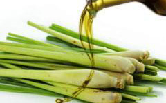 Lemon Grass Essential Oils