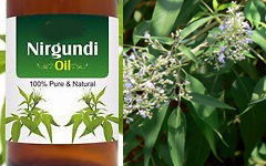 Niragundi Hair oil