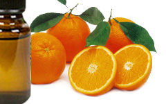 OrangeEssentialOils