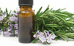 Rosemary Essential Oils