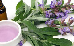 Sage Essential Oils