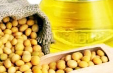 Soya bean Edible Oil 