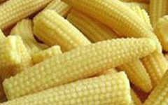 Baby Corn