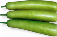 Bottle Gourd Stright