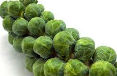 BrusselsSprout