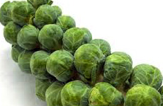 BrusselsSprout
