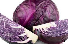 Cabbage Red