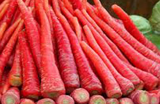 Carrot- Red