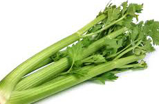 Celery