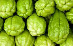 Chayote