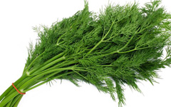 Dill Vegetables