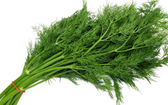 Dill Vegetables