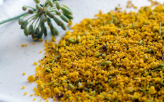 Fennel Pollen