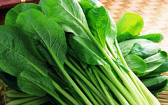 Japanese Mustard Spinach
