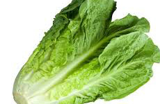 Lettuce