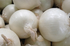 OnionWhite