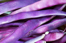 Purple Beans