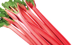 Rhubarb