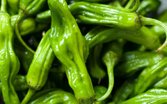 Shishito Green Peppers