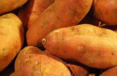 Sweet Potato