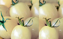 White CherryTomato