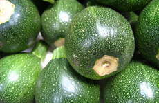 Zucchini {Ball Type}[Green]
